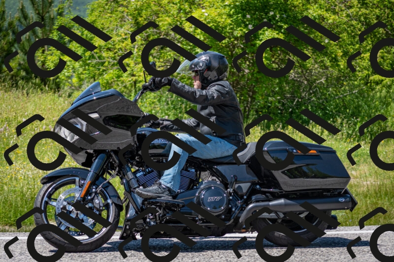 202506081421-DSC_8080_c2