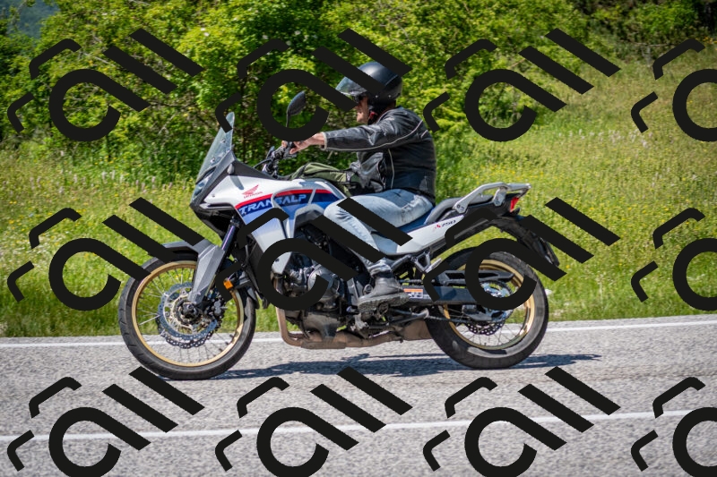 202506081421-DSC_8081_c2