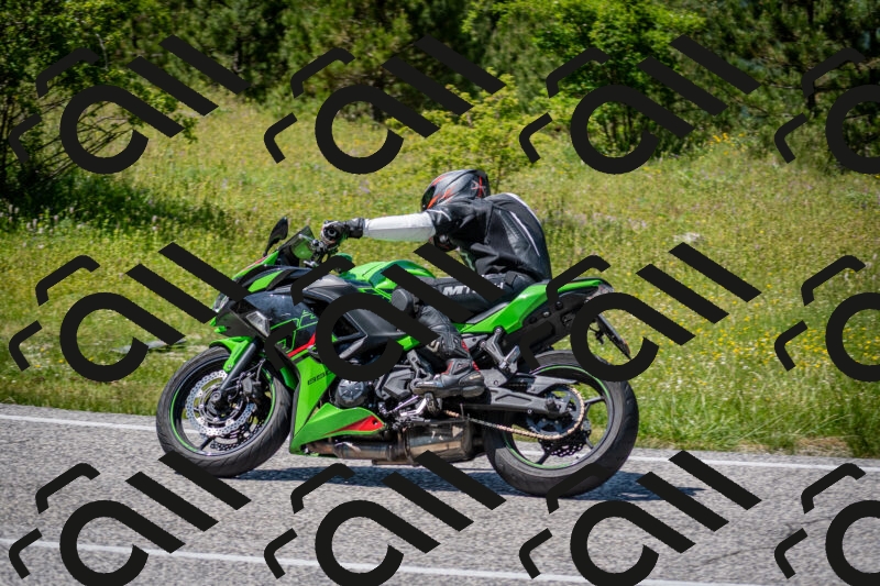 202506081421-DSC_8083_c2