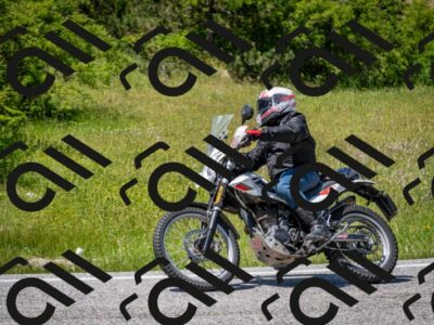 202506081423-DSC_8094_c2