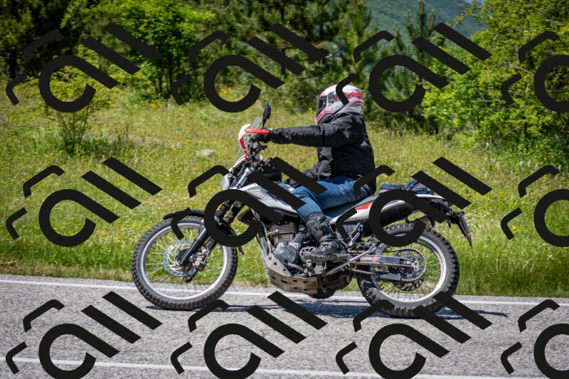 202506081423-DSC_8095_c2