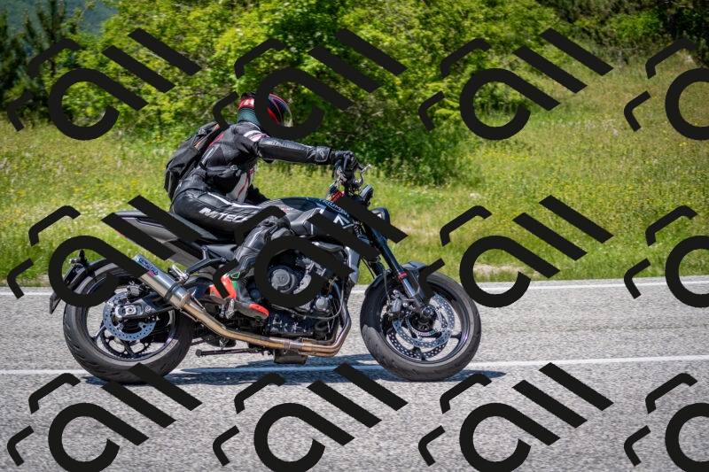 202506081424-DSC_8098_c2