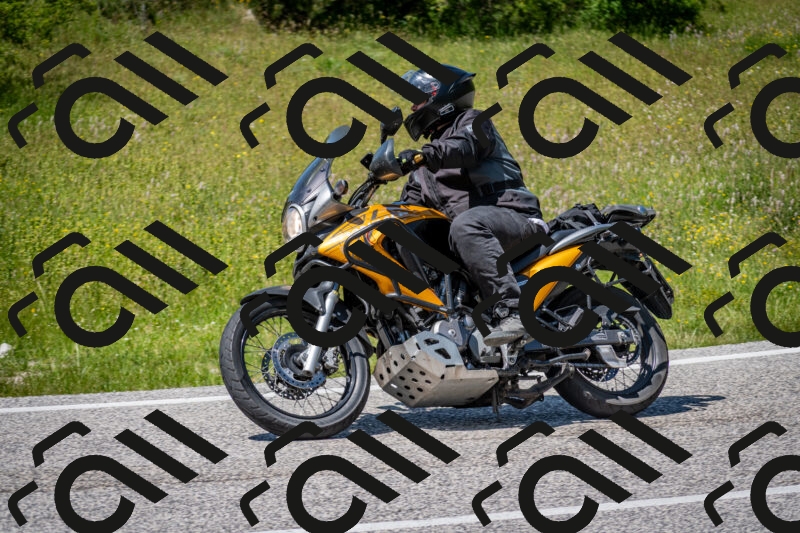 202506081425-DSC_8103_c2