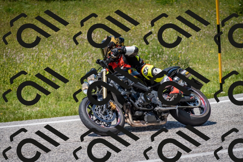 202506081426-DSC_8118_c2