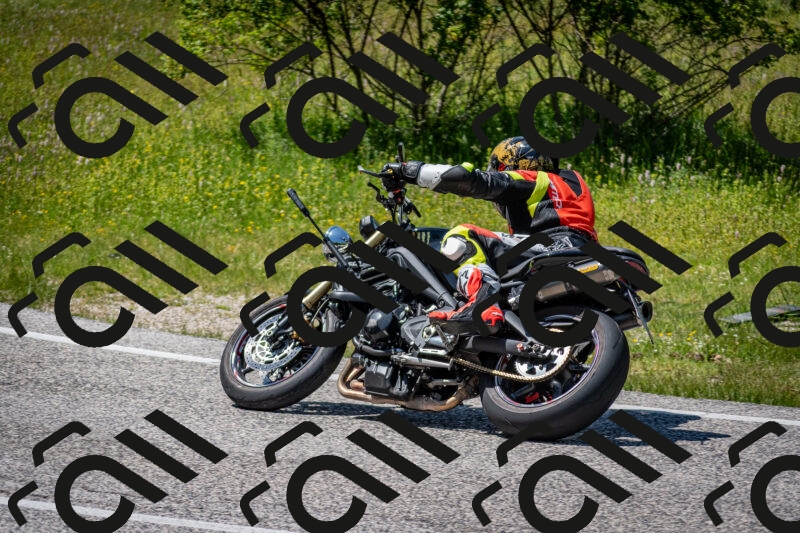 202506081426-DSC_8120_c2