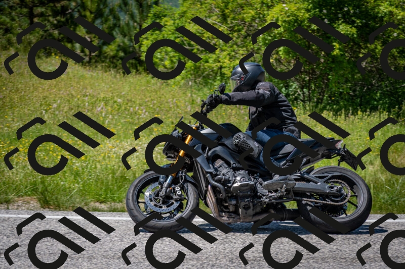 202506081427-DSC_8131_c2