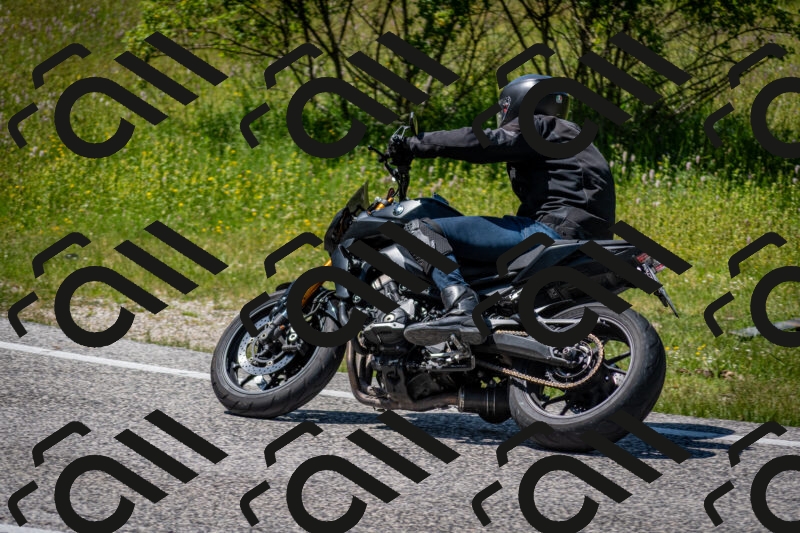 202506081427-DSC_8132_c2