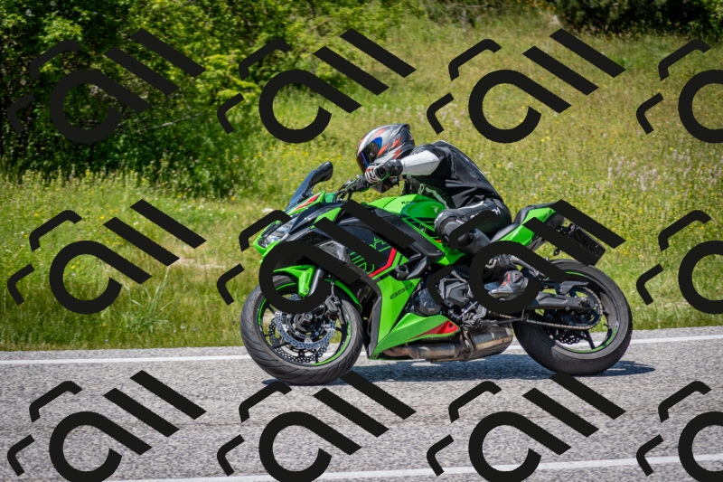 202506081427-DSC_8134_c2