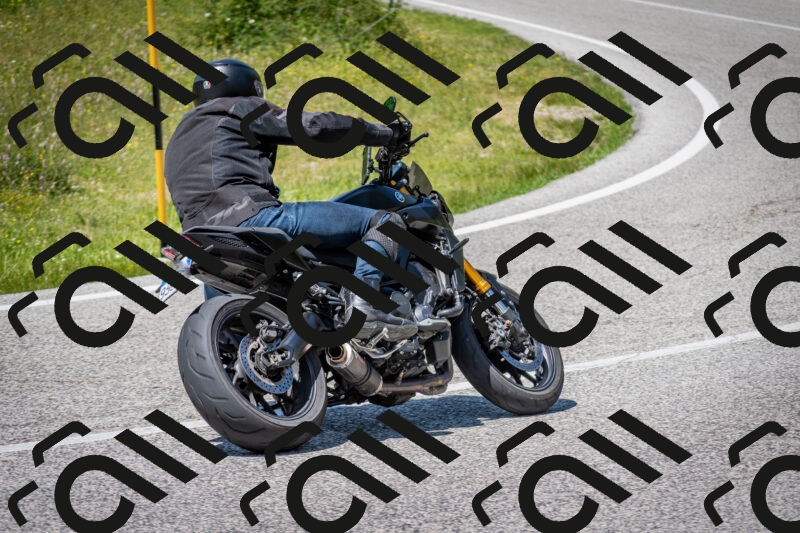 202506081428-DSC_8145_c2