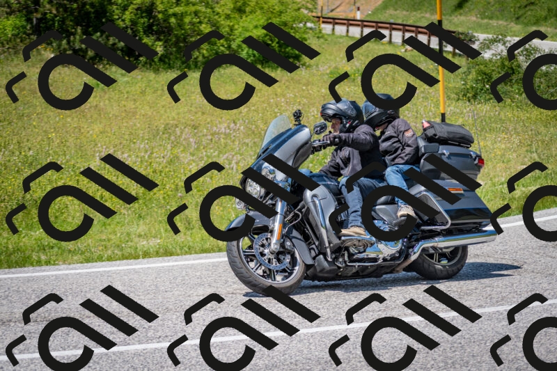 202506081428-DSC_8157_c2