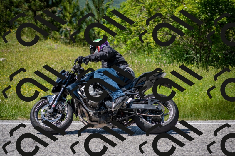 202506081435-DSC_8172_c2