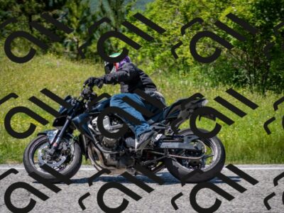 202506081435-DSC_8172_c2