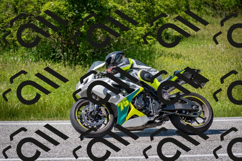 202506081435-DSC_8174_c2