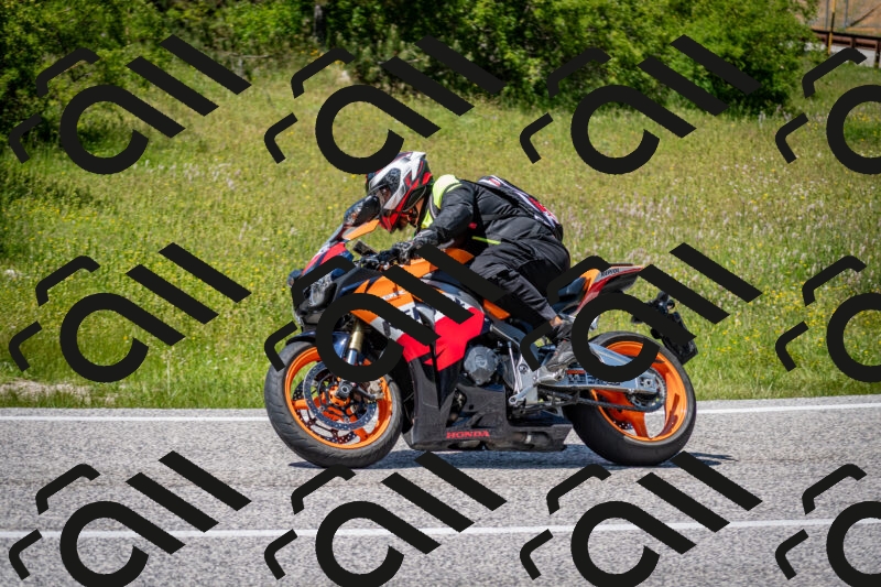 202506081435-DSC_8176_c2