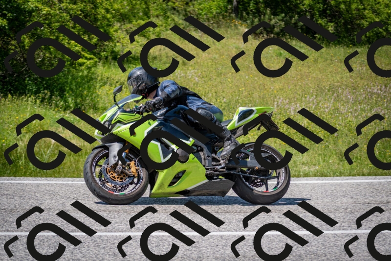 202506081435-DSC_8177_c2