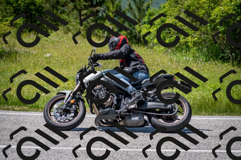 202506081435-DSC_8178_c2