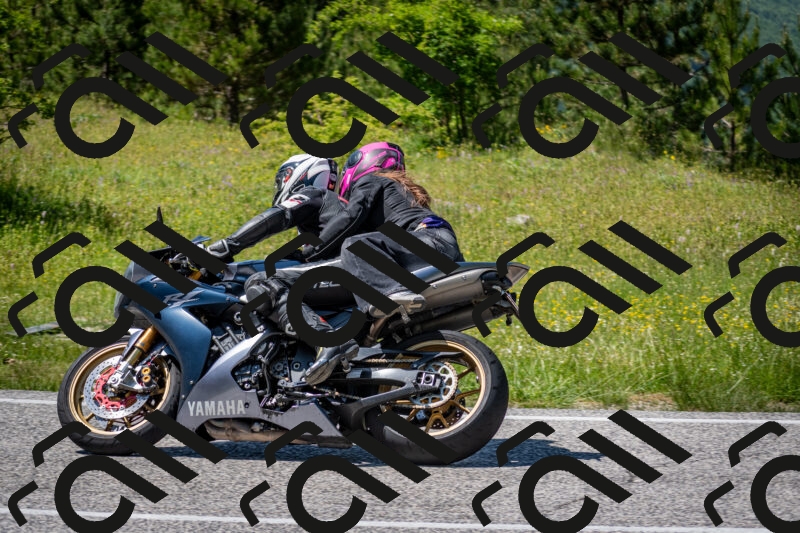 202506081435-DSC_8179_c2