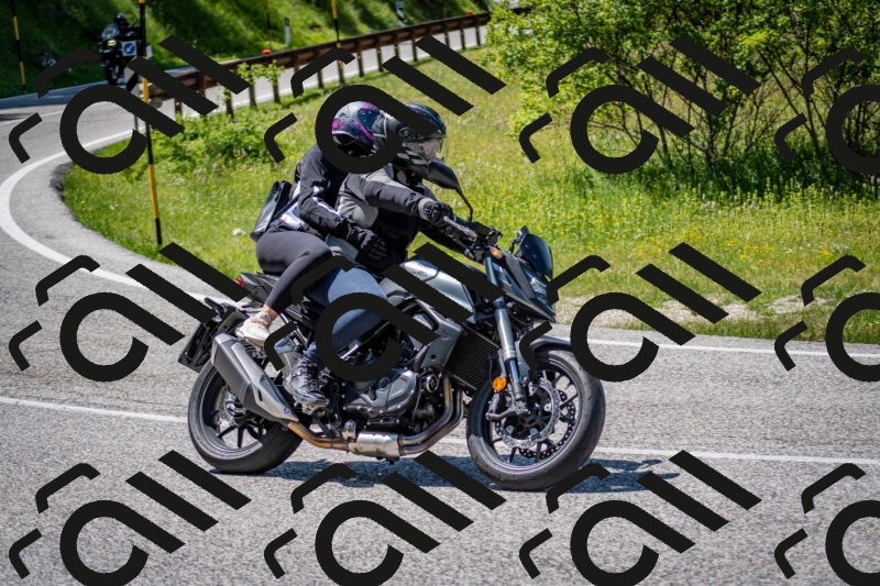 202506081442-DSC_8184_c2