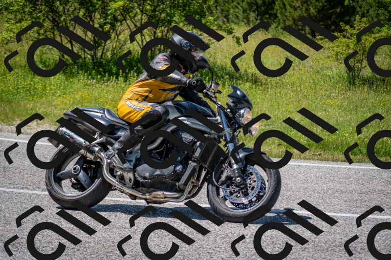 202506081444-DSC_8201_c2