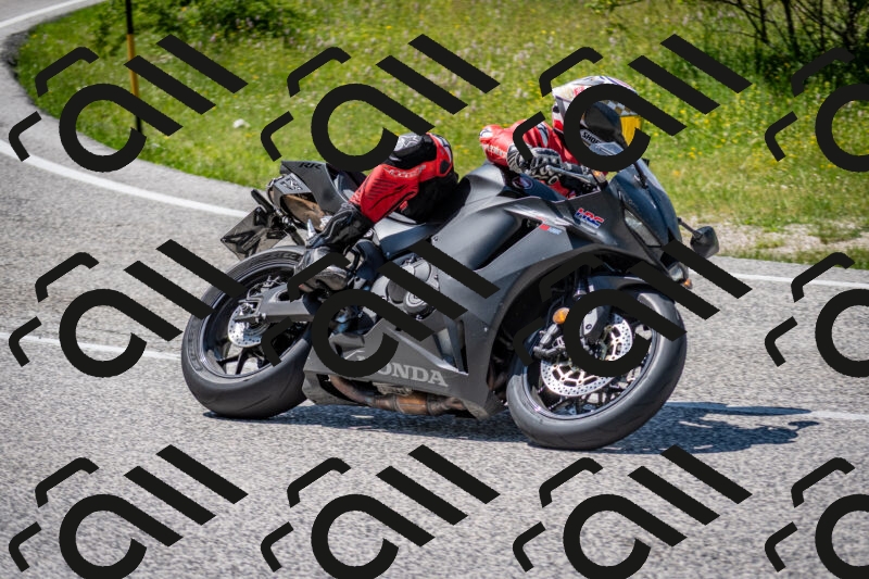 202506081445-DSC_8205_c2