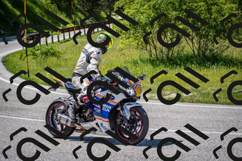 202506081446-DSC_8210_c2