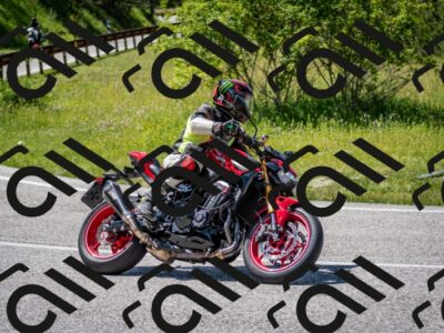 202506081446-DSC_8212_c2