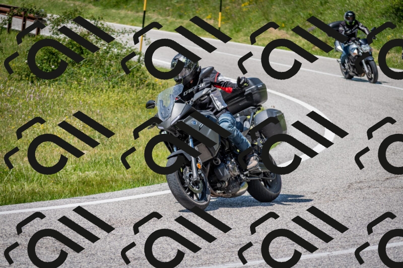 202506081446-DSC_8219_c2