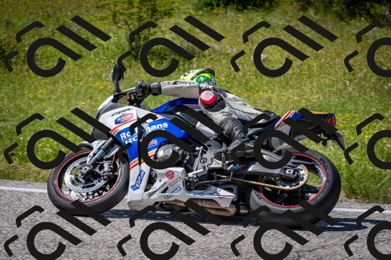 202506081447-DSC_8228_c2