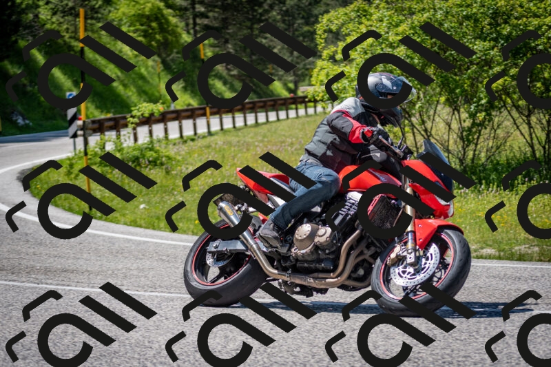 202506081450-DSC_8257_c2