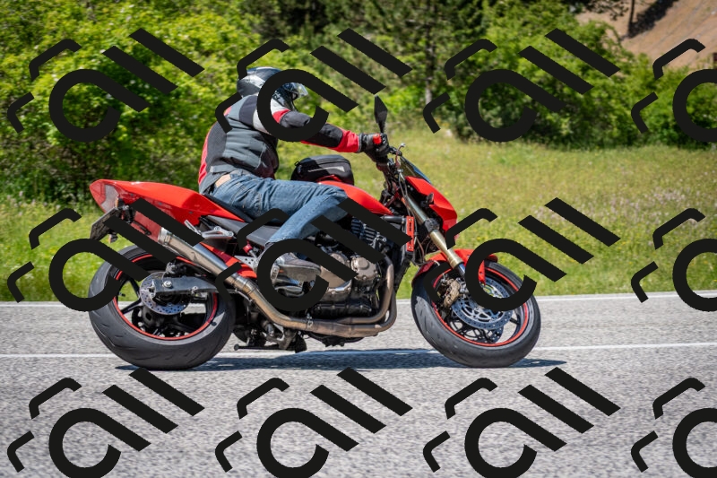 202506081450-DSC_8258_c2