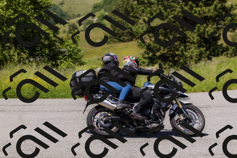 202506081435-_04A1183_c3_