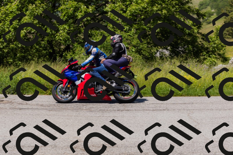 202506081442-_04A1215_c3_