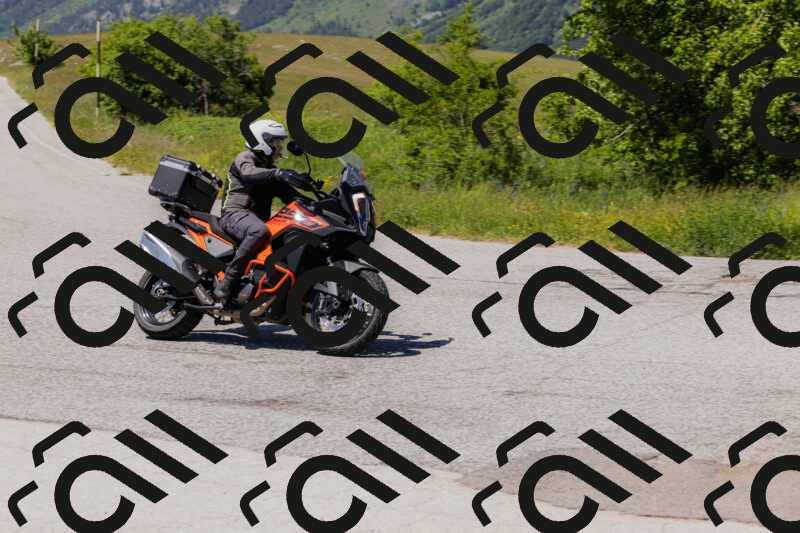 202506081443-_04A1219_c3_