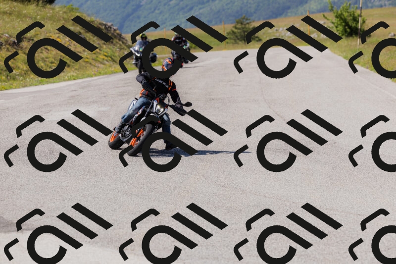 202506081545-_04A1775_c3_