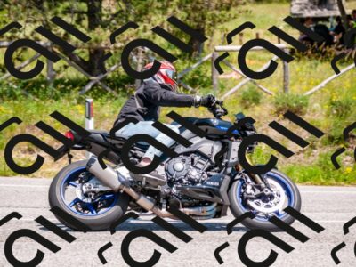 202506081400-DSC_2024_d2_