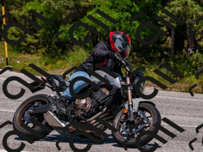 202506081437-DSC_2373_d2_