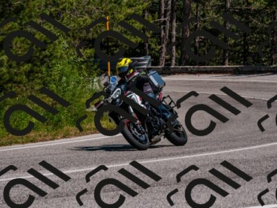 202506081503-DSC_2524_d2_