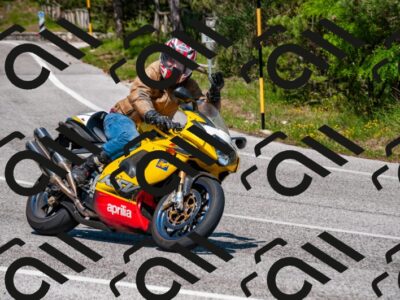 202506081507-DSC_2600_d2_