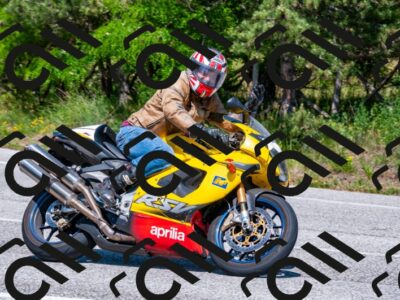 202506081507-DSC_2601_d2_