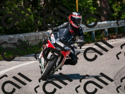 202506081517-DSC_2683_d2_