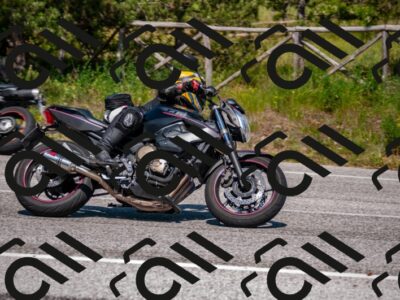 202506081529-DSC_2808_d2_