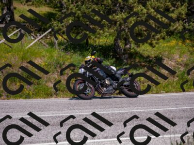 202506081539-DSC_2919_d2_