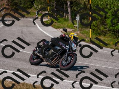 202506081544-DSC_2979_d2_