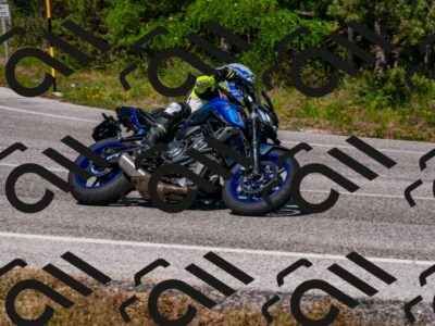 202506081554-DSC_3100_d2_