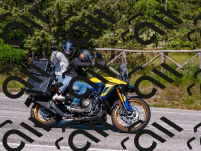 202506081555-DSC_3113_d2_