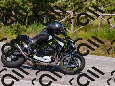 202506081607-DSC_3198_d2_