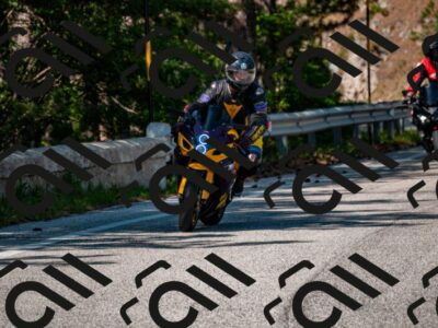 202506081609-DSC_3200_d2_