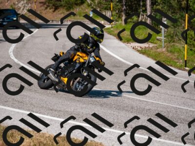 202506081621-DSC_3300_d2_