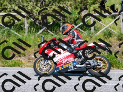 202506081628-DSC_3363_d2_