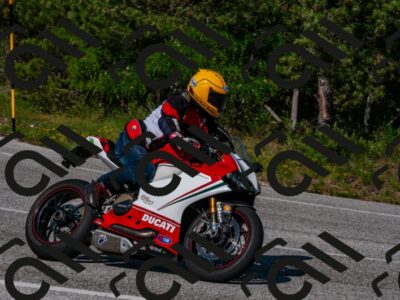 202506081635-DSC_3455_d2_